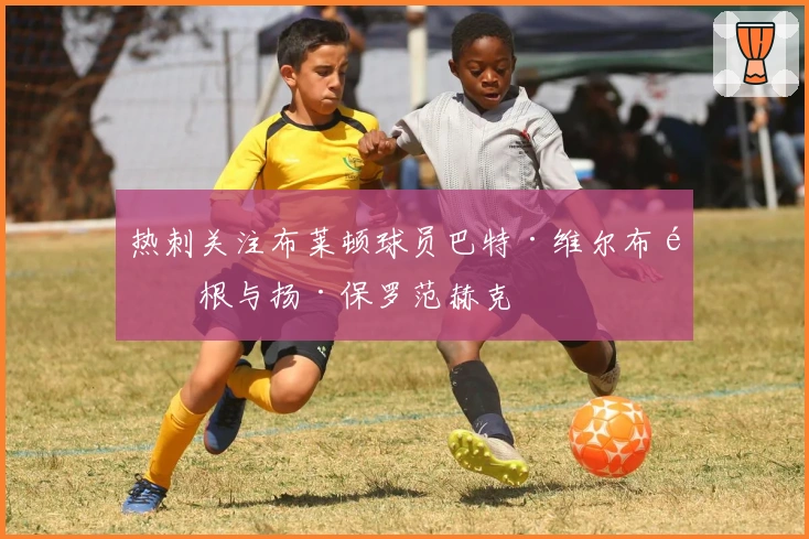 热刺关注布莱顿球员巴特·维尔布鲁根与扬·保罗范赫克